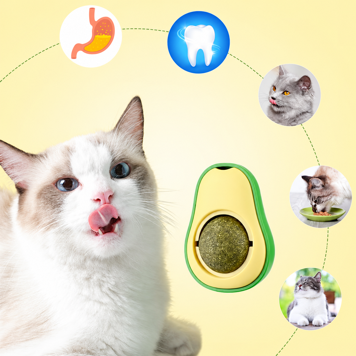 Avocado Catnip &amp; Gall Fruit Ball Toy for Cats