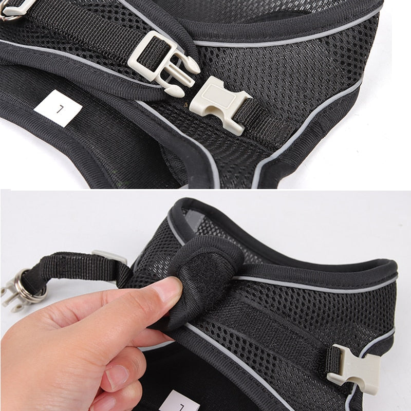 Dog Harness Leash Set for Small Dogs