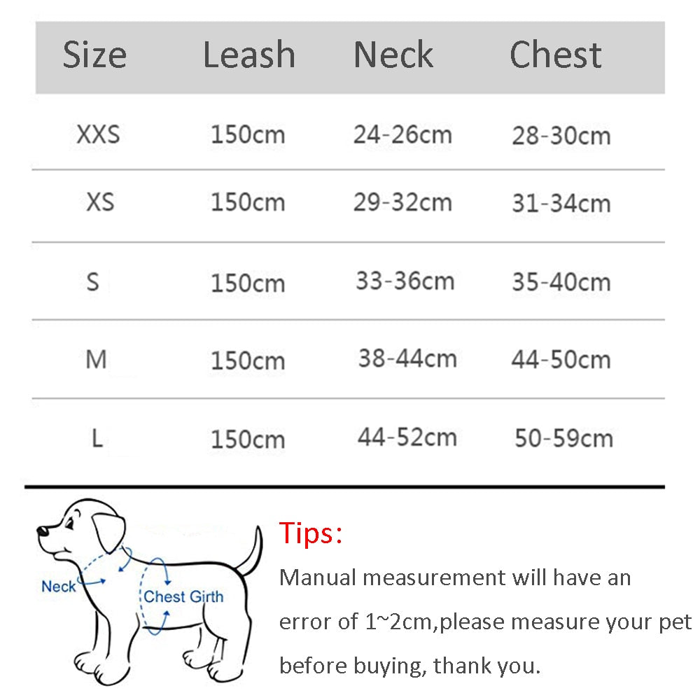 Dog Harness Leash Set for Small Dogs